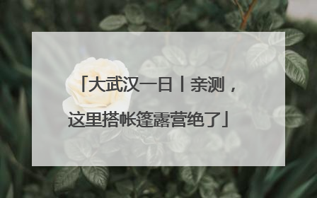 大武汉一日丨亲测，这里搭帐篷露营绝了