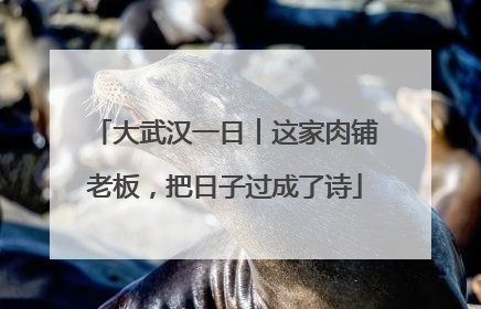 大武汉一日︱这家肉铺老板，把日子过成了诗
