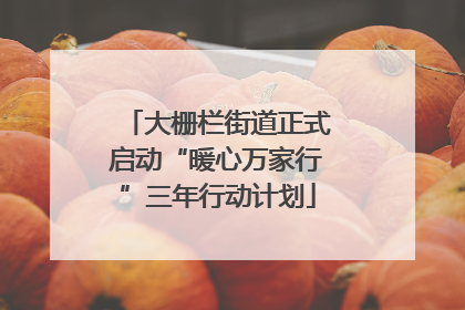 大栅栏街道正式启动“暖心万家行”三年行动计划