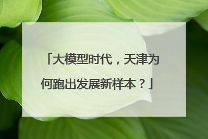 大模型时代，天津为何跑出发展新样本？