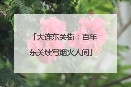 大连东关街：百年东关续写烟火人间