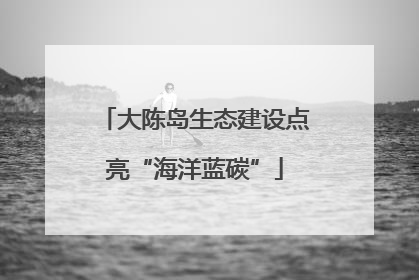 大陈岛生态建设点亮“海洋蓝碳”