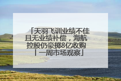 天羽飞训业绩不佳且无业绩补偿，海航控股仍豪掷8亿收购丨一周市场观察