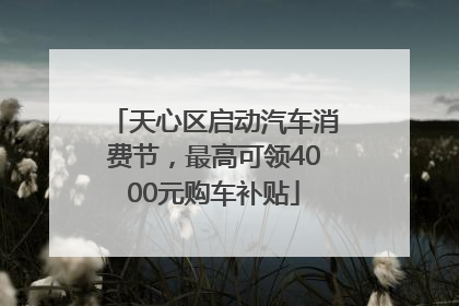 天心区启动汽车消费节，最高可领4000元购车补贴