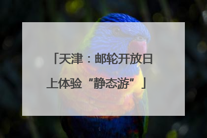 天津：邮轮开放日上体验“静态游”