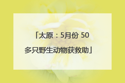 太原：5月份 50多只野生动物获救助
