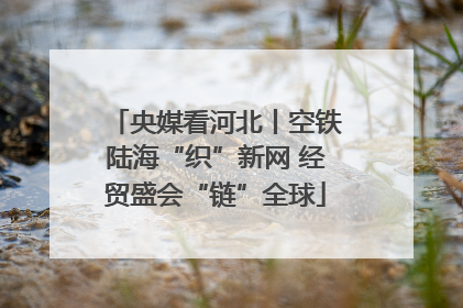 央媒看河北丨空铁陆海“织”新网 经贸盛会“链”全球