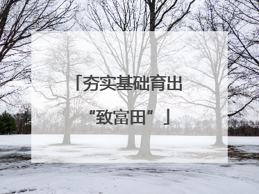 夯实基础育出“致富田”