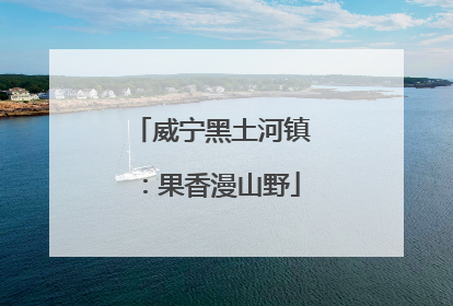 威宁黑土河镇：果香漫山野
