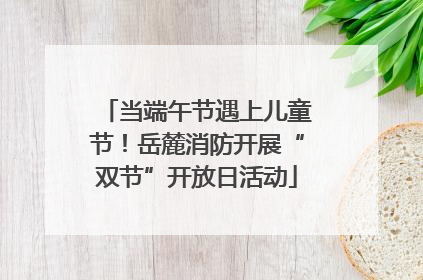当端午节遇上儿童节！岳麓消防开展“双节”开放日活动