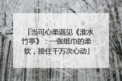 当可心柔遇见《淮水竹亭》：一张纸巾的柔软，接住千万次心动
