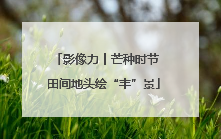 影像力丨芒种时节 田间地头绘“丰”景