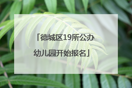 德城区19所公办幼儿园开始报名