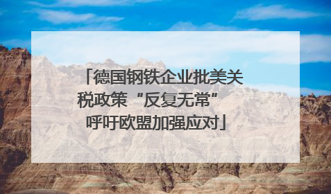 德国钢铁企业批美关税政策“反复无常” 呼吁欧盟加强应对