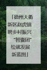 德州天衢新区赵虎镇聘乡村振兴“智囊团” 绘就发展新蓝图