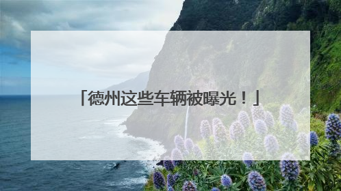 德州这些车辆被曝光！
