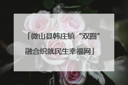 微山县韩庄镇“双圈”融合织就民生幸福网
