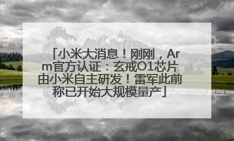 小米大消息！刚刚，Arm官方认证：玄戒O1芯片由小米自主研发！雷军此前称已开始大规模量产