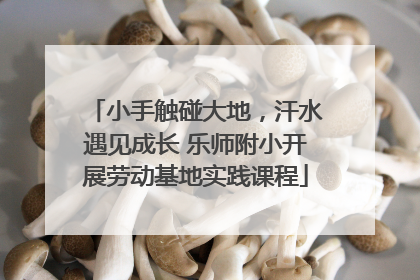 小手触碰大地，汗水遇见成长 乐师附小开展劳动基地实践课程