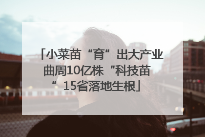小菜苗“育”出大产业 曲周10亿株“科技苗”15省落地生根