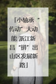 小轴承“传动”大动能 浙江新昌“拼”出山区发展新路