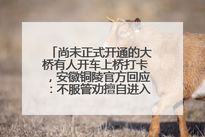 尚未正式开通的大桥有人开车上桥打卡，安徽铜陵官方回应：不服管劝擅自进入，已采取措施