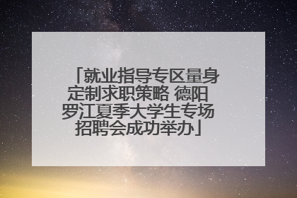 就业指导专区量身定制求职策略 德阳罗江夏季大学生专场招聘会成功举办