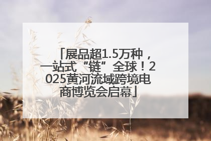展品超1.5万种，一站式“链”全球！2025黄河流域跨境电商博览会启幕