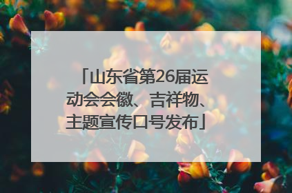 山东省第26届运动会会徽、吉祥物、主题宣传口号发布