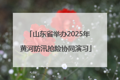 山东省举办2025年黄河防汛抢险协同演习