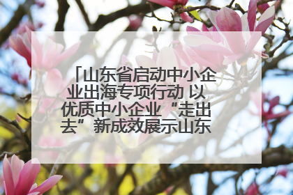 山东省启动中小企业出海专项行动 以优质中小企业“走出去”新成效展示山东产业发展新形象