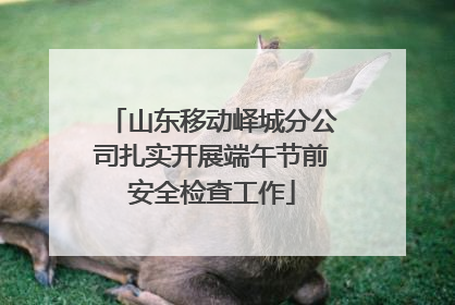 山东移动峄城分公司扎实开展端午节前安全检查工作