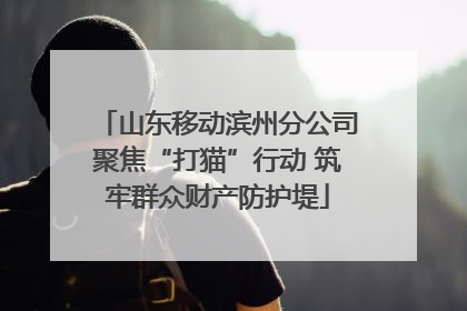 山东移动滨州分公司聚焦“打猫”行动 筑牢群众财产防护堤