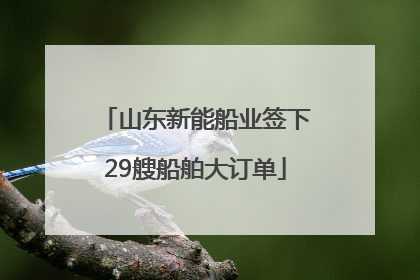 山东新能船业签下29艘船舶大订单