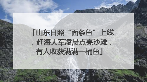 山东日照“面条鱼”上线，赶海大军凌晨点亮沙滩，有人收获满满一桶鱼