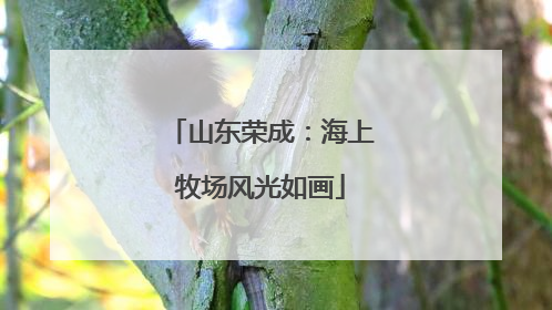 山东荣成：海上牧场风光如画
