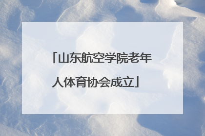山东航空学院老年人体育协会成立