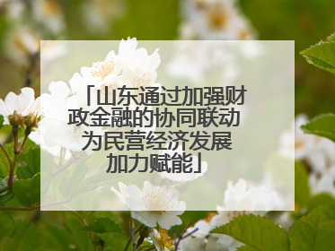 山东通过加强财政金融的协同联动 为民营经济发展加力赋能