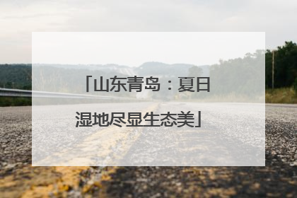山东青岛：夏日湿地尽显生态美