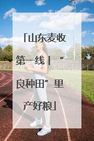 山东麦收第一线丨“良种田”里产好粮