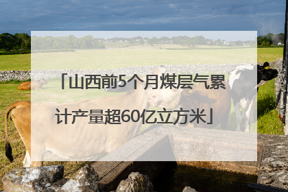 山西前5个月煤层气累计产量超60亿立方米