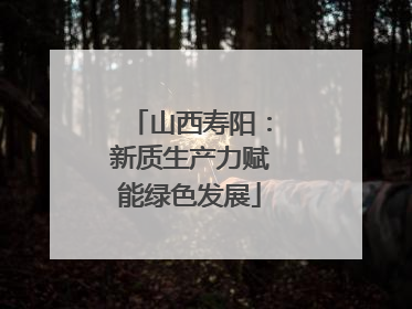 山西寿阳：新质生产力赋能绿色发展