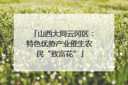 山西大同云冈区：特色优势产业催生农民“致富花”