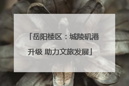 岳阳楼区：城陵矶港升级 助力文旅发展