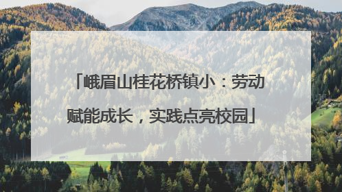 峨眉山桂花桥镇小：劳动赋能成长，实践点亮校园