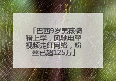 巴西9岁男孩骑猪上学，风驰电掣视频走红网络，粉丝已超125万