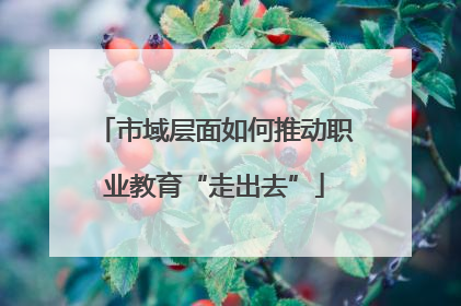 市域层面如何推动职业教育“走出去”