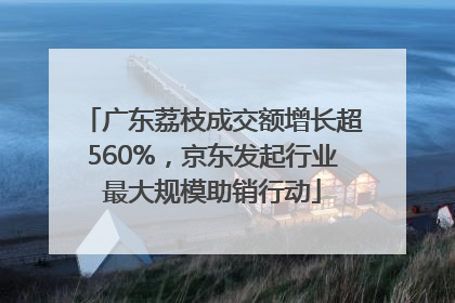 广东荔枝成交额增长超560%，京东发起行业最大规模助销行动