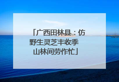广西田林县：仿野生灵芝丰收季 山林间劳作忙