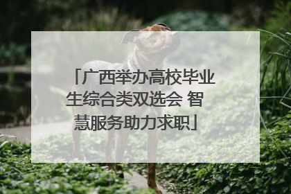 广西举办高校毕业生综合类双选会 智慧服务助力求职